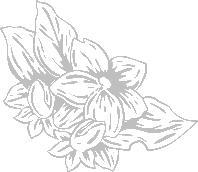 Allow me to guide you toward your goals. Let your potential bloom.